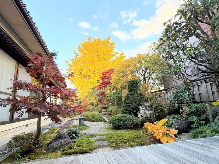 エックスモバイル五泉店の庭　紅葉